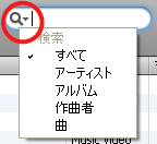 iTunes 検索オプション