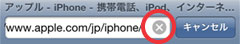 iPod touch Web履歴からURLを消去